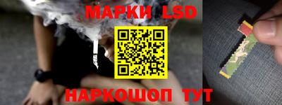 прущие грибы Будённовск