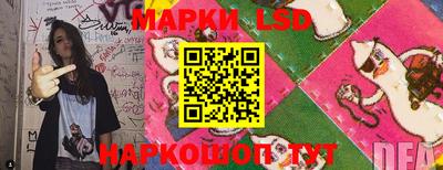 прущие грибы Будённовск