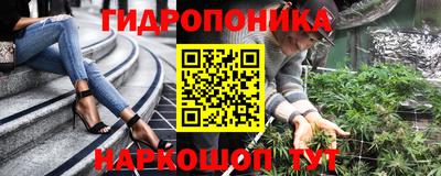 прущие грибы Будённовск