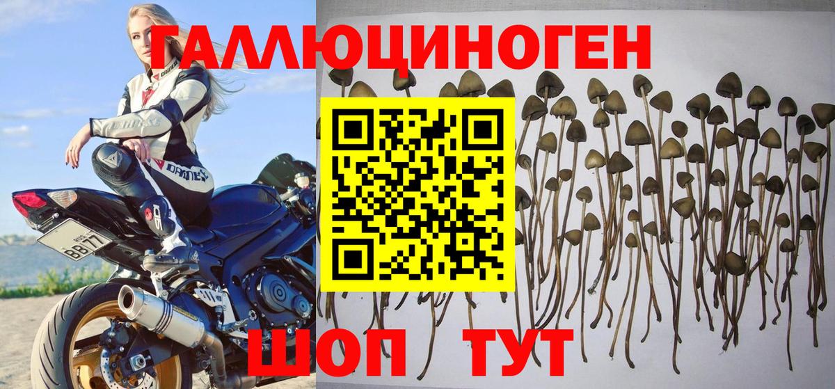 Галлюциногенные грибы мухоморы Самара