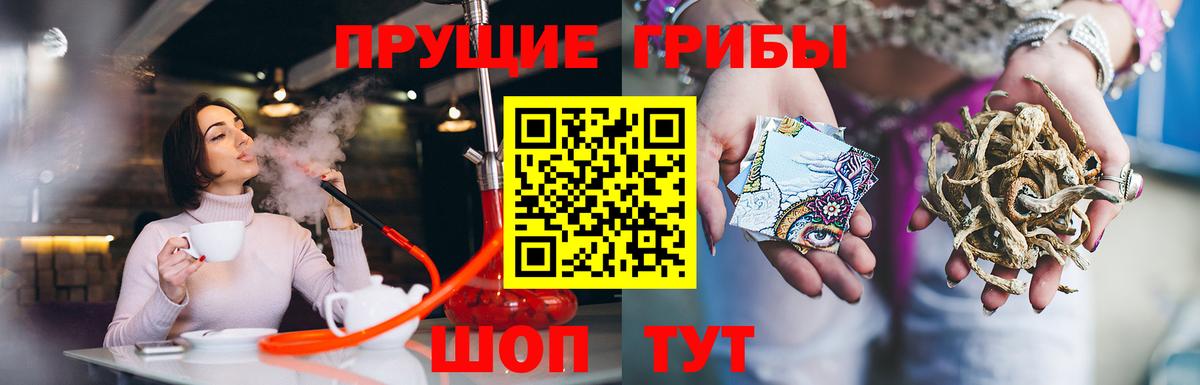 Галлюциногенные грибы прущие грибы  Галлюциногенные грибы Psilocybe  Вход с VPN  Самара 